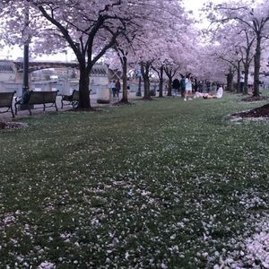 Meet your Posher, Fatimah